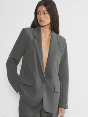 Aritzia Wilfred New Generation Blazer